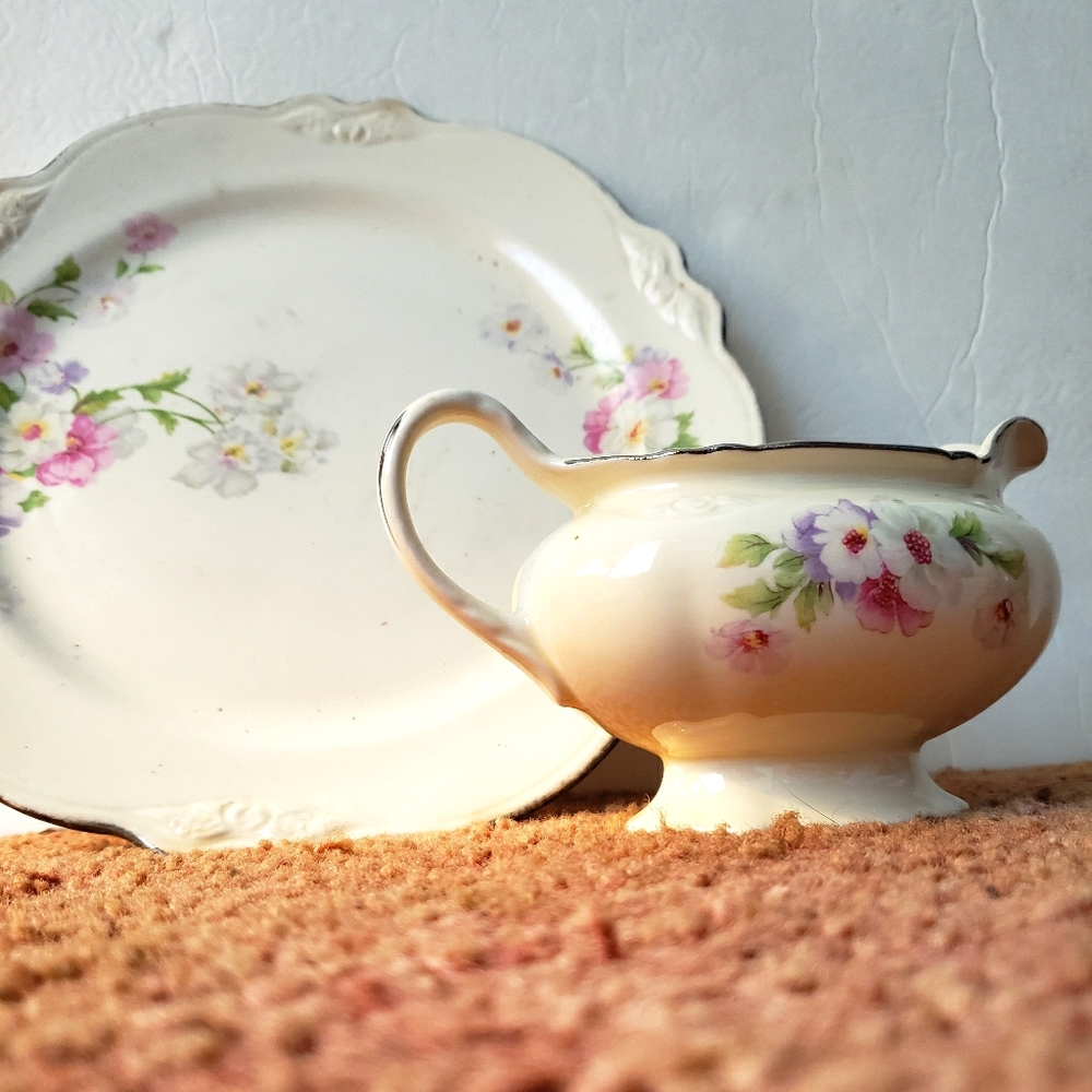 Vintage Virginia Rose Dishes